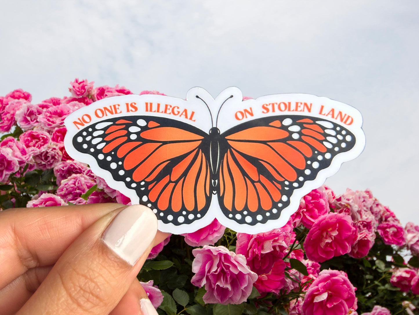 No One Is Illegal On Stolen Land Butterfly