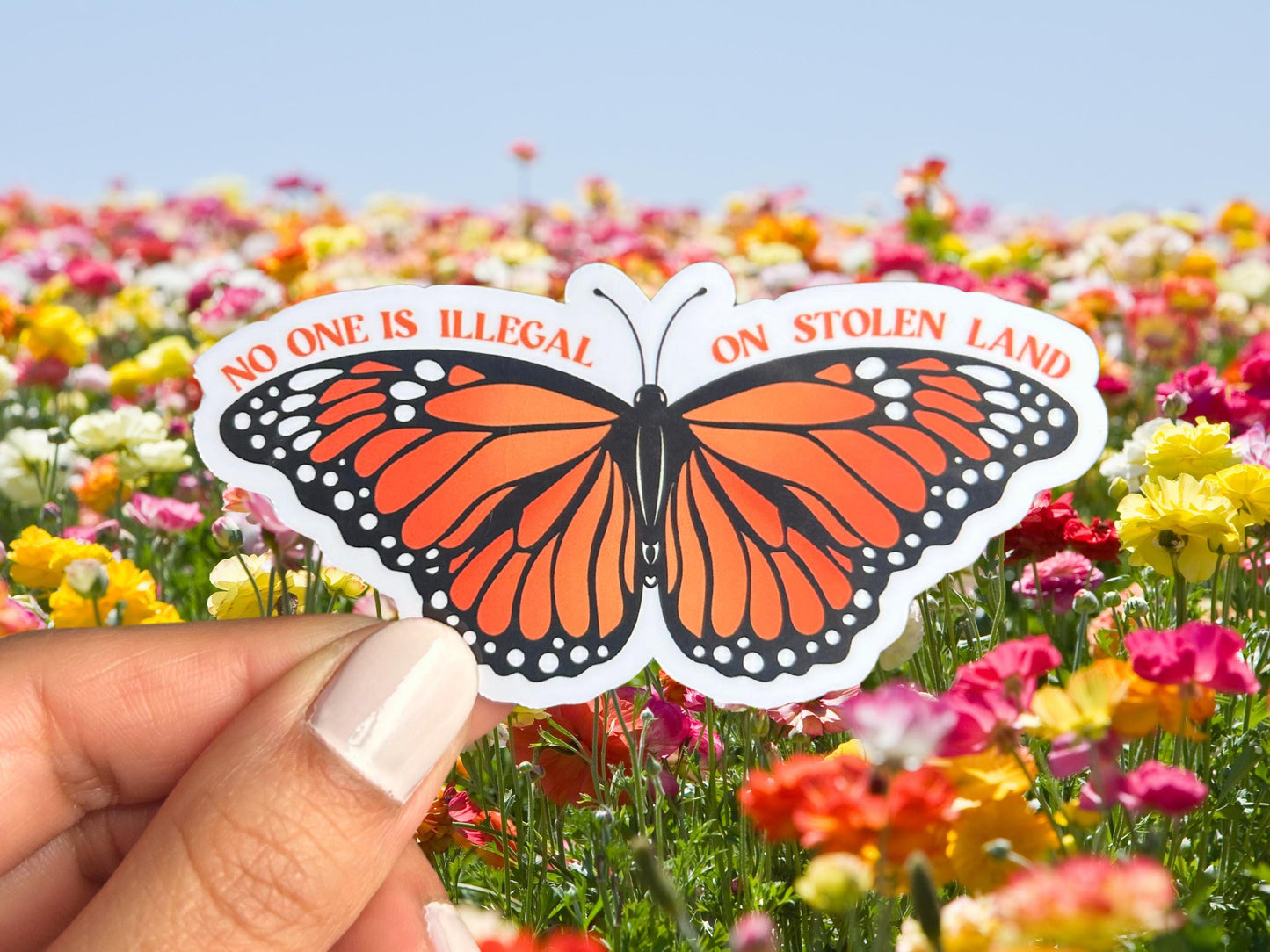 No One Is Illegal On Stolen Land Butterfly